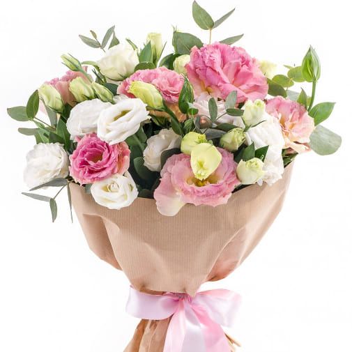 Элизиум от 6 200 руб.